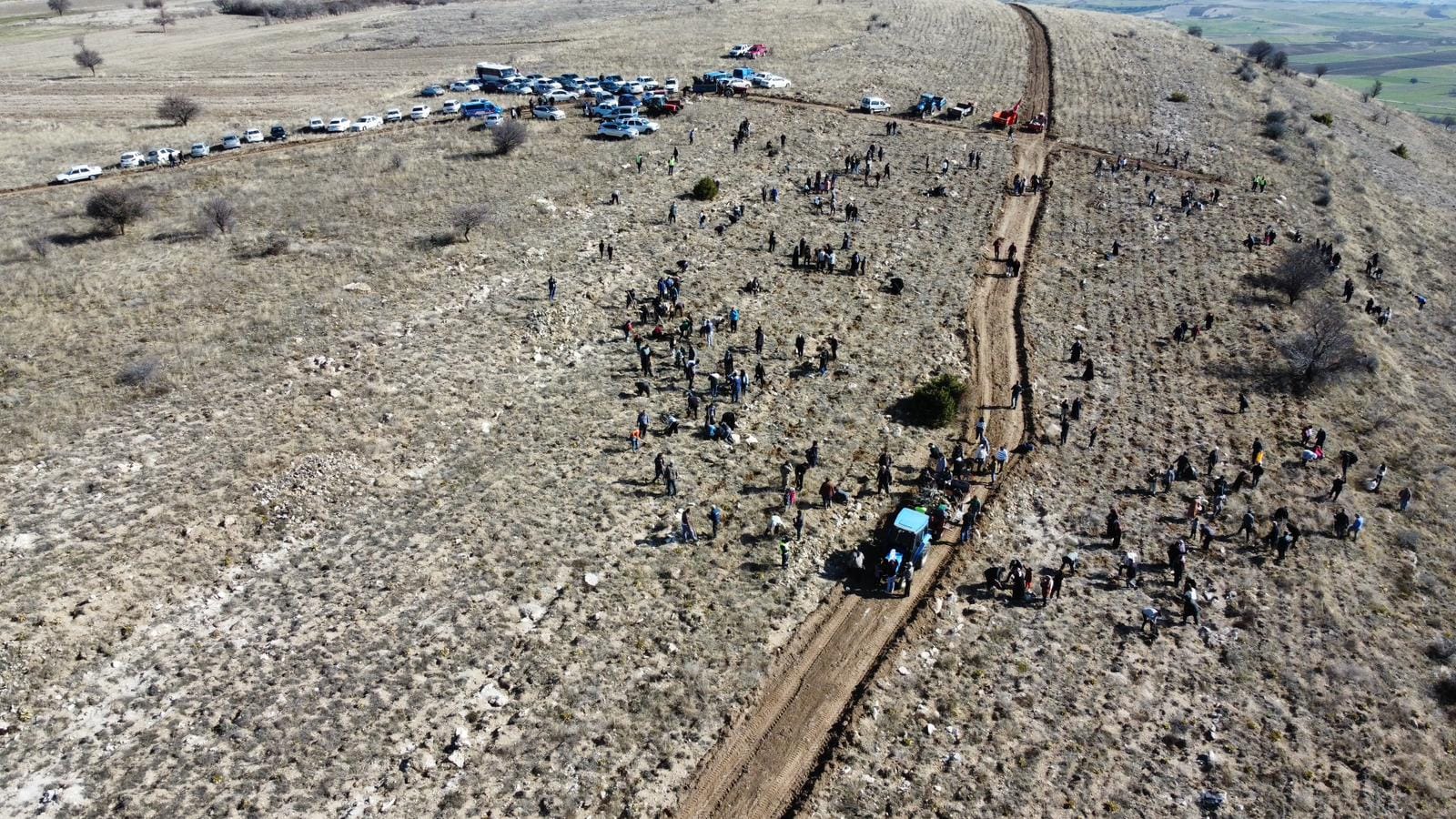 AĞAÇ BAYRAMI 22 MARTTA