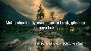 BİR GÜL YAPRAĞI HER YERE SIĞAR YETER Kİ GÖNÜLLERDE YER OLSUN