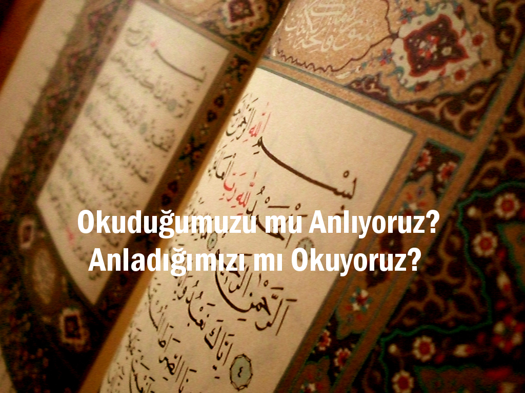 Okuyoruz Ne kadar idrak ediyoruz