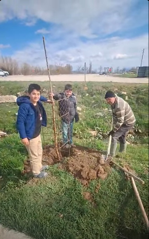 AĞAÇLANDIRMA HİZMETİ