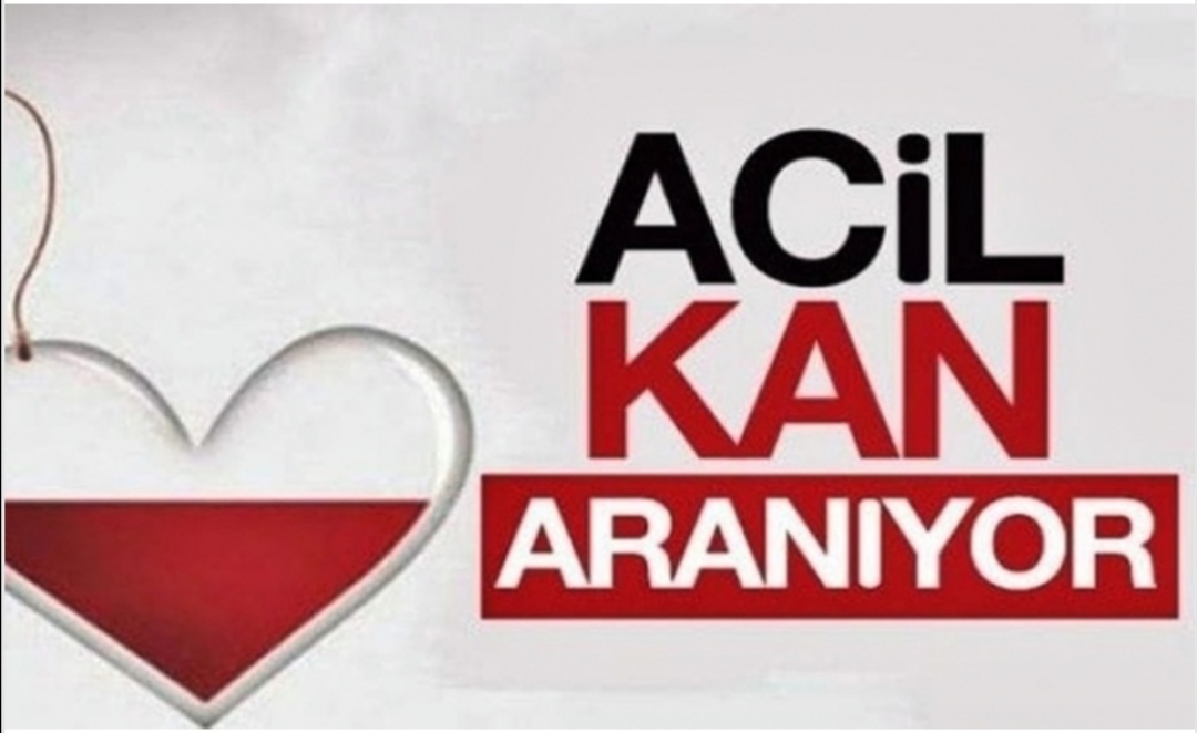 Kan İhtiyacı 