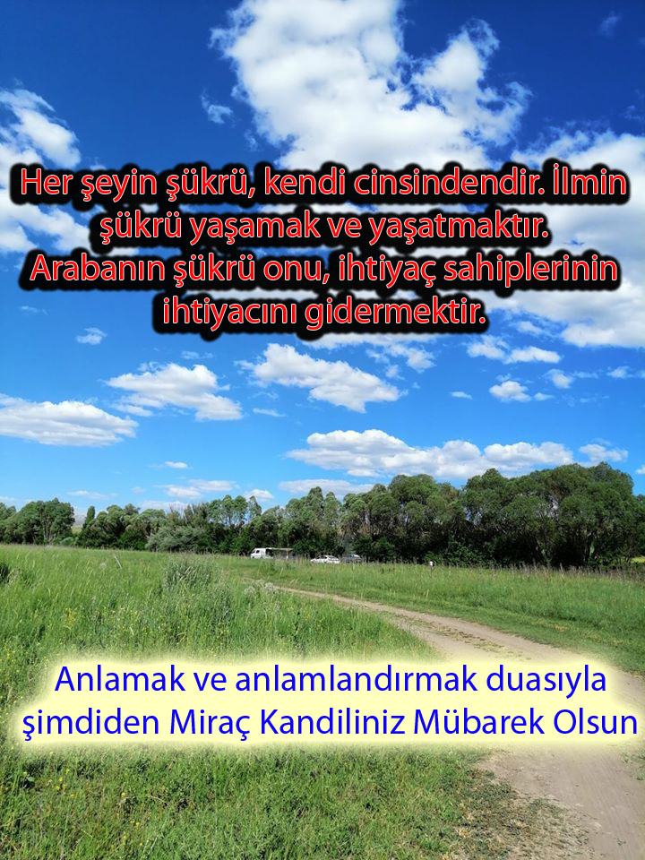 HER ŞEYİN ŞÜKRÜ KENDİ CİNSİNDENDİR