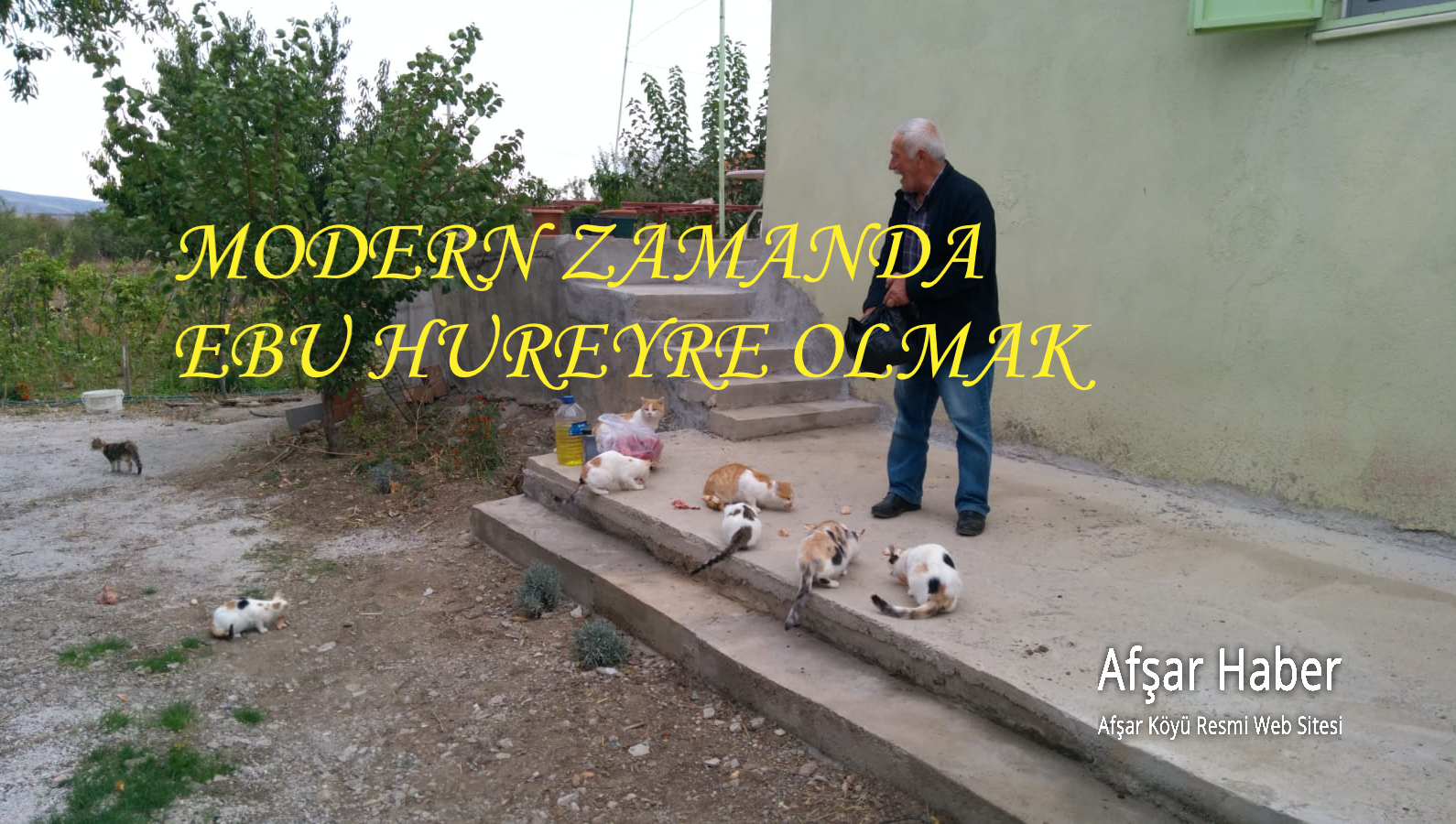 MODERN ZAMANDA EBU HUREYRE OLMAK